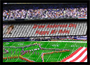 Stadium Signs