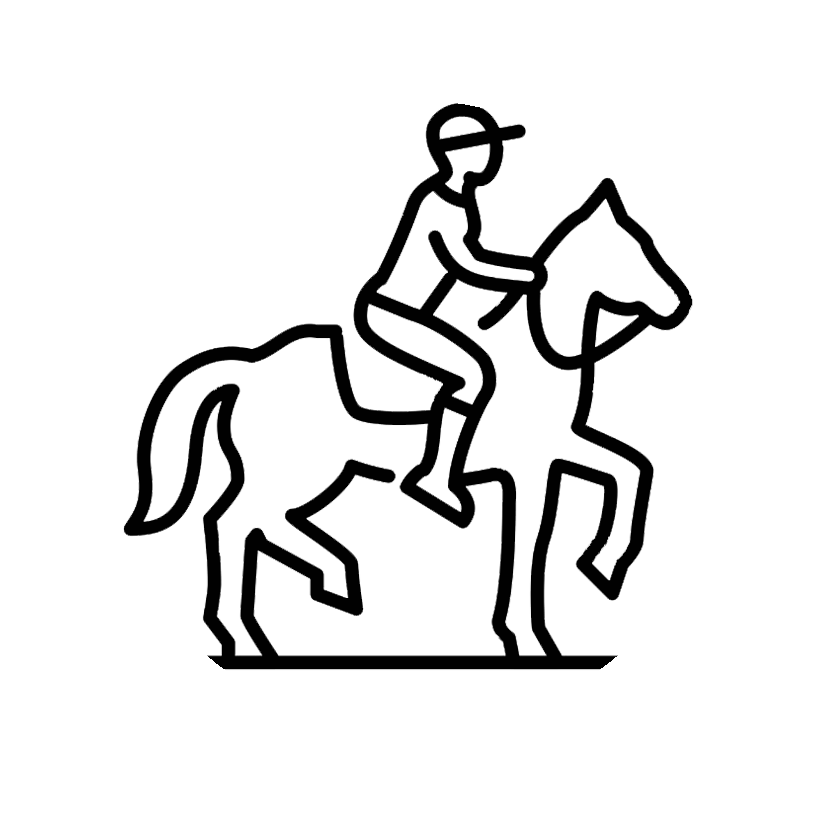 Horse Riding design